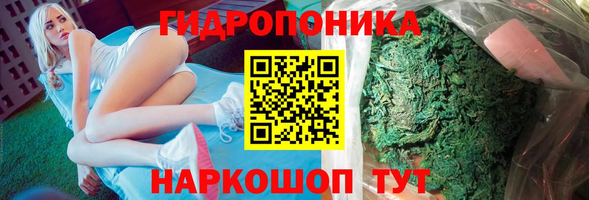 Каннабис планчик  Вход с VPN  Клинцы  Конопля тримм 